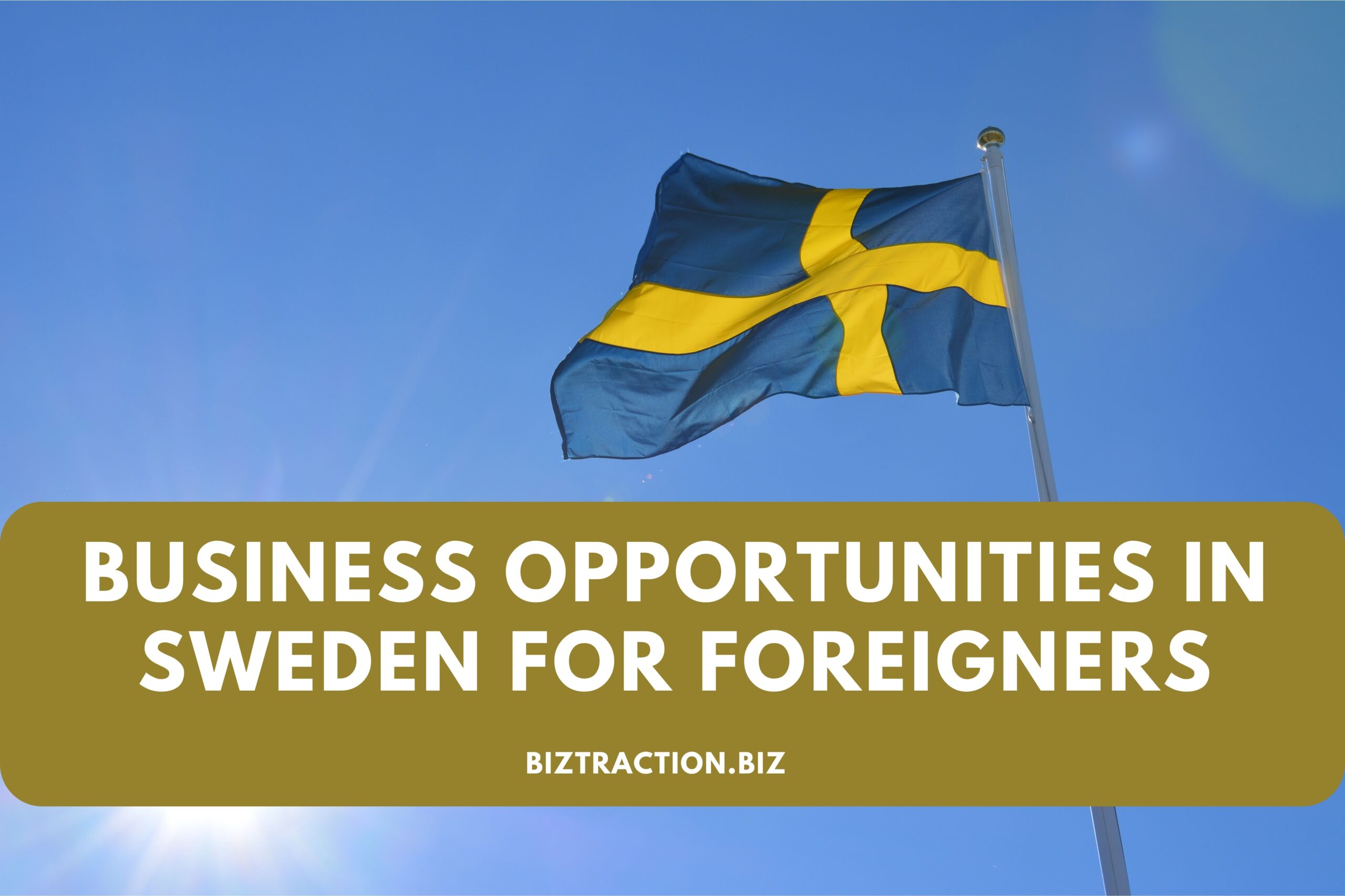 Business Opportunities in Sweden for Foreigners